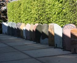 IMG_7229 IMG_7229