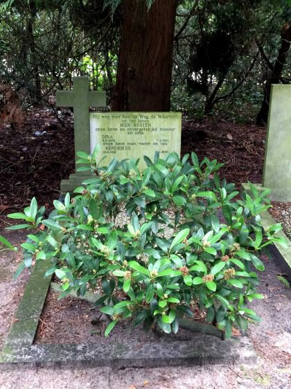 Inscriptie toevoegen Baarn Voor Inscriptie toevoegen Baarn Voor