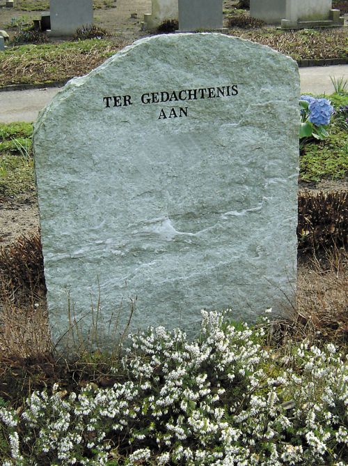 RS 001 Ruwe steen Verde Spluga kwartsiet RS 001 Ruwe steen Verde Spluga kwartsiet