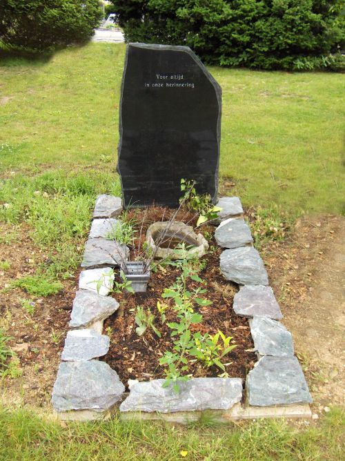 Ruwe steen graniet / Verde Alverso Ruwe steen graniet / Verde Alverso