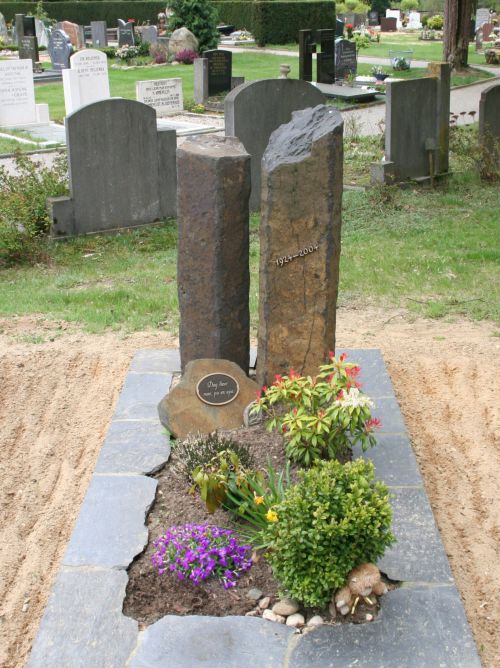 Ruwe steen Basalt met leisteen Ruwe steen Basalt met leisteen