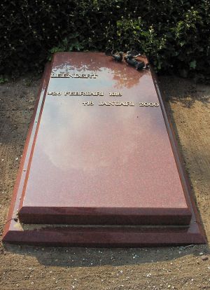 Liggend monument Ruby Red graniet Liggend monument Ruby Red graniet