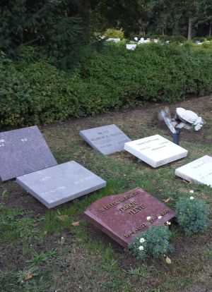 Algemeen graf overzicht Algemeen graf overzicht