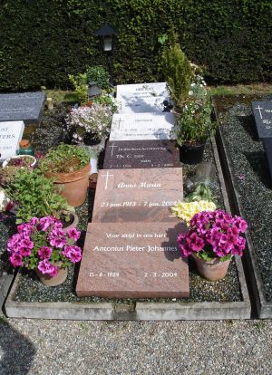 Algemeen graf overzicht Algemeen graf overzicht