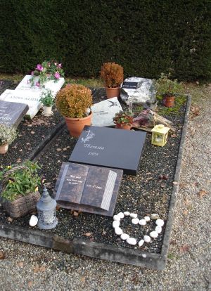 Algemeen graf overzicht Algemeen graf overzicht