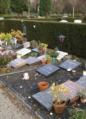Algemeen graf overzicht Algemeen graf overzicht